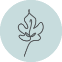 Floating shelf sustainable leaf logo